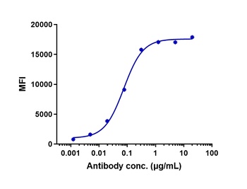 CDH3/P-cadherin Antibody