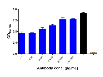 CD4/LEU3 Antibody