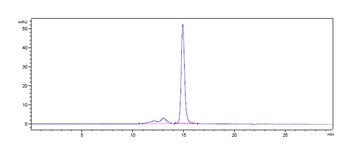 FcRn (FCGRT & B2M) Antibody