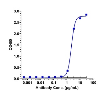 FcRn (FCGRT & B2M) Antibody