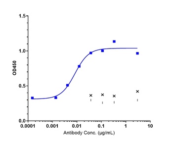 Complement C5aR1 Antibody