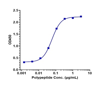 Amyloid Beta Antibody
