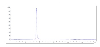 VEGFR1 / FLT1 Reference Antibody