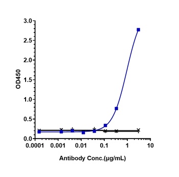 Amyloid Beta Antibody