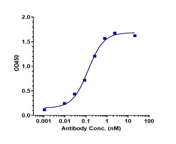TNFRSF10B/TRAILR2/CD262 Antibody