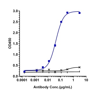IL-17/IL-17A/CTLA-8 Antibody