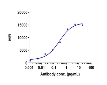 TNFSF7/CD27L/CD70 Antibody