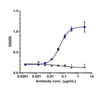 SLITRK6 Antibody