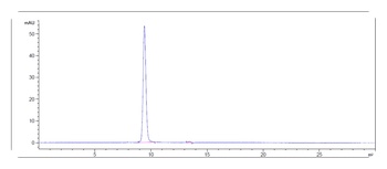 c-RET Reference Antibody