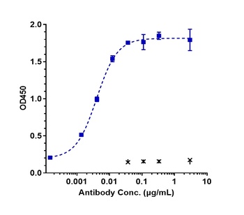 TPBG Antibody