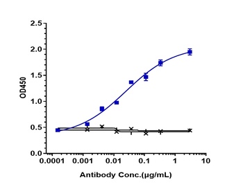 CD14 Antibody