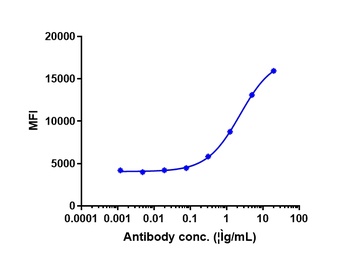 CB1/CNR1/CNR Antibody