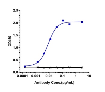 TNFRSF13C/BAFFR/CD268 Antibody