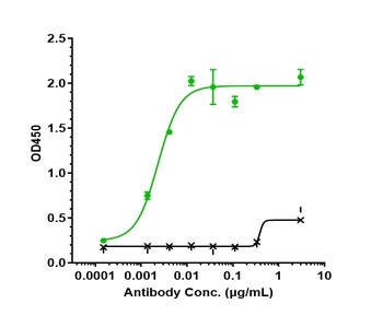 SLC1A5/AAAT/ASCT2/M7V1/RDR/RDRC Antibody