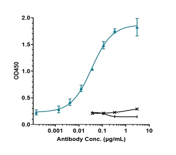 TGFb1 Antibody