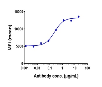 STAB1 Antibody