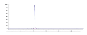 SIRPg/CD172g Antibody