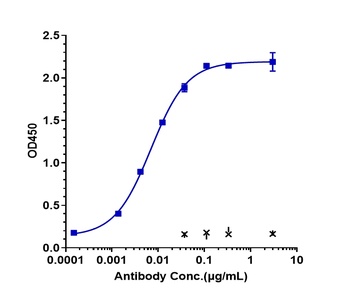SIRPg/CD172g Antibody