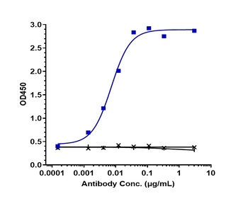 SIRPa / CD172a Reference Antibody