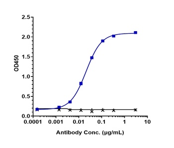 PVRIG Antibody