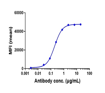 NRP1/VEGF165R/CD304 Antibody