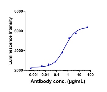 NKG2A/CD94 Antibody
