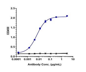MMP9 Antibody