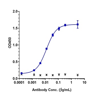 LILRB2/ILT4/CD85d Antibody