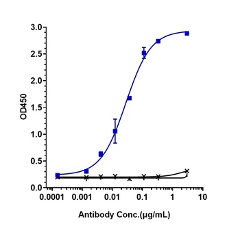 LAG3/CD223 Antibody