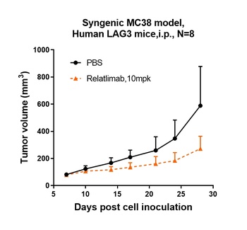 LAG3/CD223 Antibody
