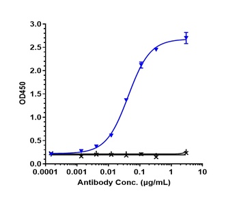CXCL8/IL-8 Antibody