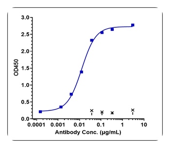 IL-7Ra/CD127 Antibody