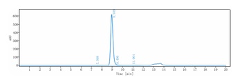 IL-5Ra/ CD125 Antibody