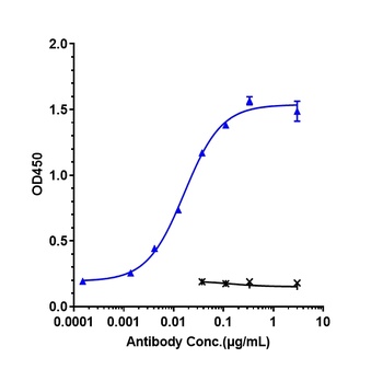 IL-5Ra/ CD125 Antibody