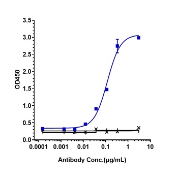 IL-5 Antibody