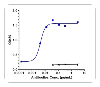 IL-4Ra/CD124 Antibody