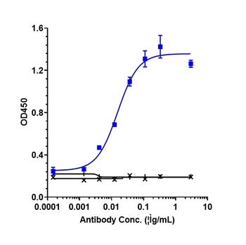 IL-33 Antibody