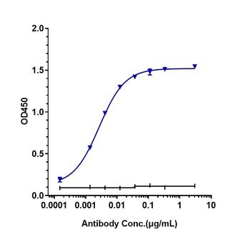 IL-2Ra/CD25 Antibody