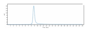 IL-2Rb / CD122 Reference Antibody