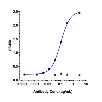IL-22 Antibody