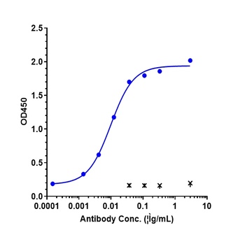 IGF-1 Antibody