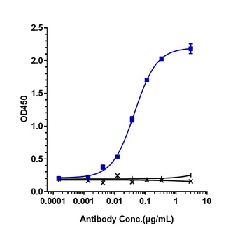 IFNa1 Antibody