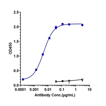 HGFR/c-Met Antibody