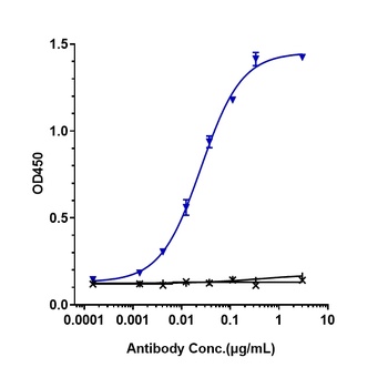 HGF/SF Antibody