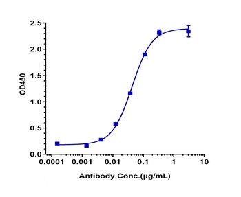 ERBB3/HER3 Antibody