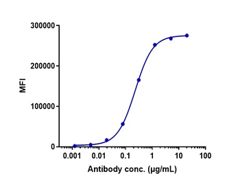 ERBB3/HER3 Antibody
