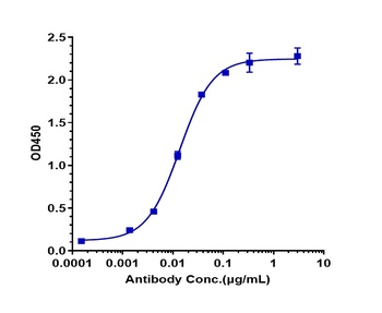 GPRC5D/GPC5D Antibody