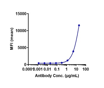 GPRC5D/GPC5D Antibody