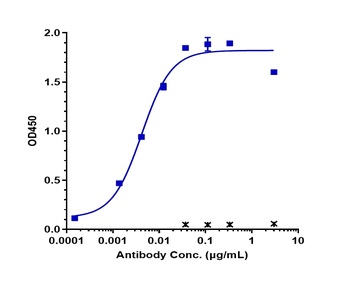 FAP Antibody