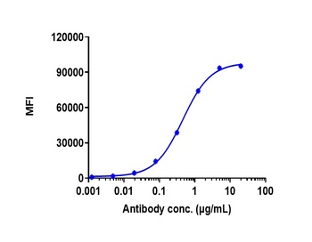 DLL4 Antibody